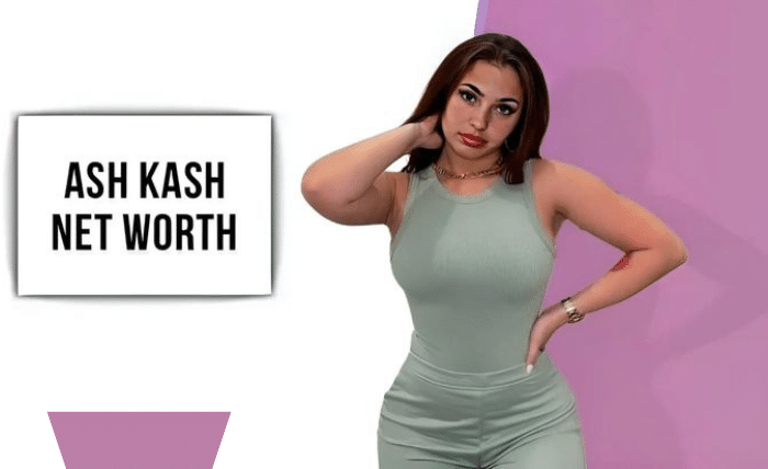 Ash kash’s Net Worth and Business Success