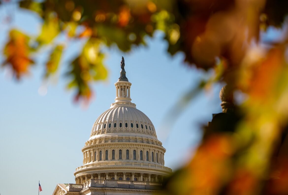 With one year to go until Election Day 2026, Tuesday's results could shape the 2026 midterms

